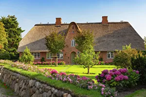 Thatch Prints: Traditional thatched house, Keitum, Sylt, Schleswig Holstein, Germany