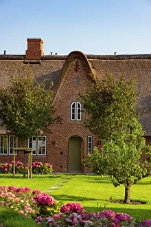 Thatch Prints: Traditional thatched house, Keitum, Sylt, Schleswig Holstein, Germany