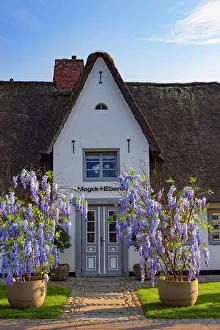 Thatch Prints: Traditional thatched house, Keitum, Sylt, Schleswig Holstein, Germany