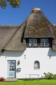 Thatch Prints: Traditional thatched house, Tinnum, Sylt, Schleswig Holstein, Germany