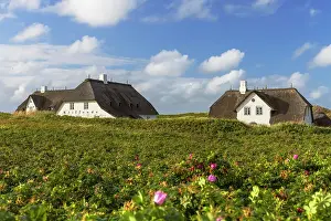 Kampen Prints: Traditional thatched houses, Red Cliffs (Rotes Kliff)