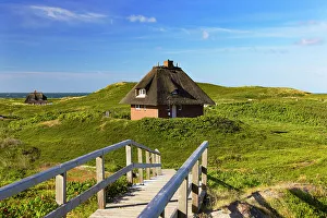 Thatch Prints: Traditional thatched houses in sand dunes, Hornum, Sylt, Schleswig Holstein, Germany