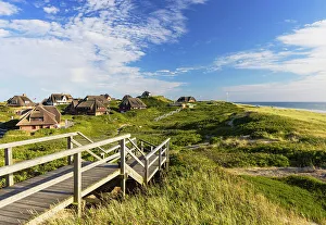 Heather Prints: Traditional thatched houses amongst sand dunes, Rantum, Sylt, Schleswig Holstein, Germany