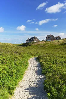 Sylt Prints: Traditional thatched houses in sand dunes, Hornum, Sylt, Schleswig Holstein, Germany