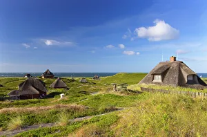 Sylt Prints: Traditional thatched houses in sand dunes, Hornum, Sylt, Schleswig Holstein, Germany