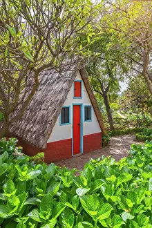 Shape Prints: Traditional thatched triangular house inside Botanical garden of Madeira