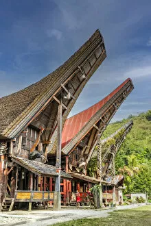 Images Dated 4th February 2021: Traditional Toraja houses in Rantepao, Tana Toraja, Sulawesi, Indonesia