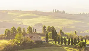 Val Dorcia Prints: Traditional Tuscan farhmouse set amongst cypress trees and rolling hills