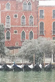 Some traditional venetian gondolas moored at Riva del Vin during a snowfall, Grand Canal