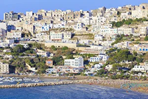 Gargano Prints: Traditional white houses in the old town of Peschici, lit by the sun. Apulia(Puglia)