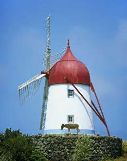 Donkey Prints: A traditional windmill in Guadalupe. Graciosa, Azores islands, Portugal