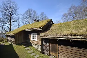 Norge Prints: Traditional wooden houses with grass rooftops at Hordamuseet, an open-air museum at Fana