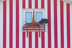 Striped Prints: Traditional wooden striped house facade, Costa Nova do Prado, Aveiro, Portugal
