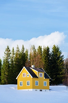 Fjord Prints: Traditional yellow house in the snowy winter landscape, Senja, Troms county, Norway