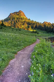 Rainier Prints: Trail along Lower Tipsoo Lake with Naches Peak in the background