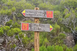 Saint Anne Prints: Trail signs showing directions to Pico Areeiro and Pico Ruivo, Santana, Madeira, Portugal