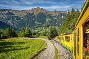 Grindelwald Prints: Train to Kleine Scheidegg, Grindelwald, Berner Oberland, Switzerland