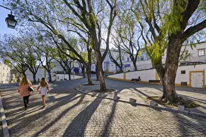 Historic City Prints: Tranquil little square in the old town of Evora with jacaranda trees
