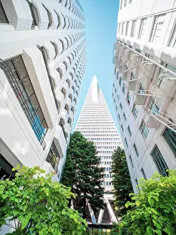 Transamerica Prints: Transamerica Pyramid Building Downtown, San Francisco, California, USA