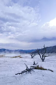 Images Dated 8th June 2009: Travertine Terraces, Mammoth Hot Springs, Yellowstone National Park, Wyoming, USA
