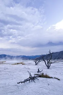 Geo Thermal Gallery: Travertine Terraces, Mammoth Hot Springs, Yellowstone National Park, Wyoming, USA