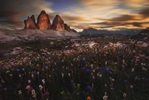 Southern Prints: Tre Cime di Lavaredo in summer at sunset, Dolomites, Italy