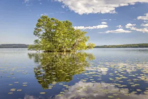 Stockholms I And Xe4 Prints: Tree island in Lake Malaren in Sigtuna, Stockholm County, Sweden