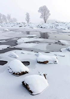 Hoar Frost Prints: Trees covered in hoar frost by frozen Loch Ba, Rannoch Moor, Highand, Scotland
