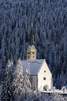 Silence Collection: Trees covered with snow in the forest surrounding the Church of San Geer, Scuol
