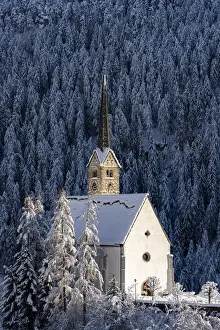 Fir Tree Prints: Trees covered with snow in the forest surrounding the Church of San Geer, Scuol