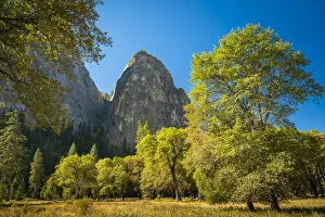 Trees in forest against rocky cliffs of Gunsight peak in Yosemite National Park on sunny