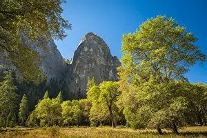 Trees in forest against rocky cliffs of Gunsight peak in Yosemite National Park on sunny