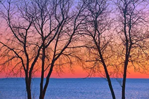 Matlock Prints: Trees along Lake Winnipeg at sunrise. Matlock, Manitoba, Canada