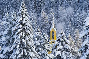 Trees with pristine snow and yellow church. St Moritz, Engadine, Switzerland Trees with pristine snow and yellow church. St Moritz, Engadine, Switzerland
