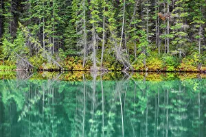 Rocky Mountains Prints: Trees refflected in Talbot Lake in autumn, Jasper National Park, Alberta, Canada