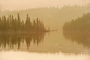 Images Dated 3rd May 2023: Trees reflected in Edna Lake during a foggy sunrise, Jasper National Park, Alberta, Canada