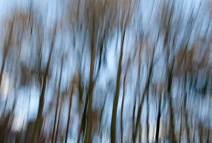 Images Dated 10th August 2011: Trees reflected in the water, Yorkshire, UK
