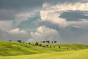 Stormy Sky Prints: Trees and rolling green fields beneath a stormy sky