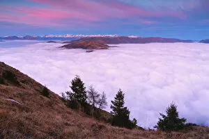 Fogs Collection: Trees at Sunset from Mount Guglielmo above the Clouds, Brescia province, Lombardy