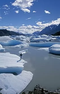Images Dated 5th February 2009: Trekker on iceberg