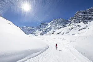 Belvedere Prints: A trekker with snowshoes walking on the winter track on Belvedere Glacier at the foot of