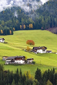 Trentino Alto Adige, Italy. Autumn scenic outdoor, foliage and green hills with snowy