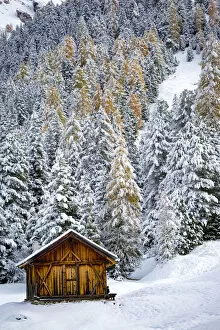 Trentino Alto Adige, Italy. Lonely wooden chalet with snowy autumn trees in background