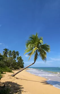 Images Dated 14th May 2012: Tres Palmitas Beach, Loiza, Puerto Rico