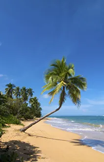 Images Dated 14th May 2012: Tres Palmitas Beach, Loiza, Puerto Rico