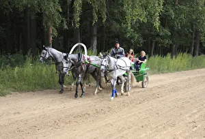 Troika, Moscow region, Russia
