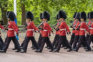 Trooping the Colour, London, England, Uk