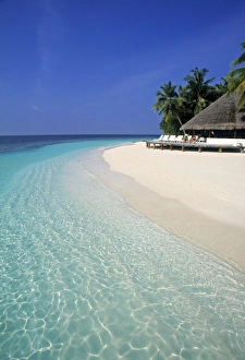 Tropical beach