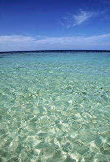 Tropical beach