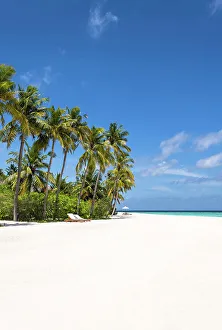 Tropical beach, Baa Atoll, Maldives